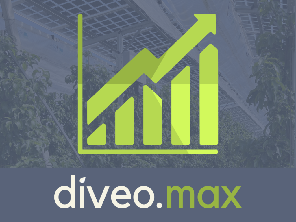 diveo.max Logo 