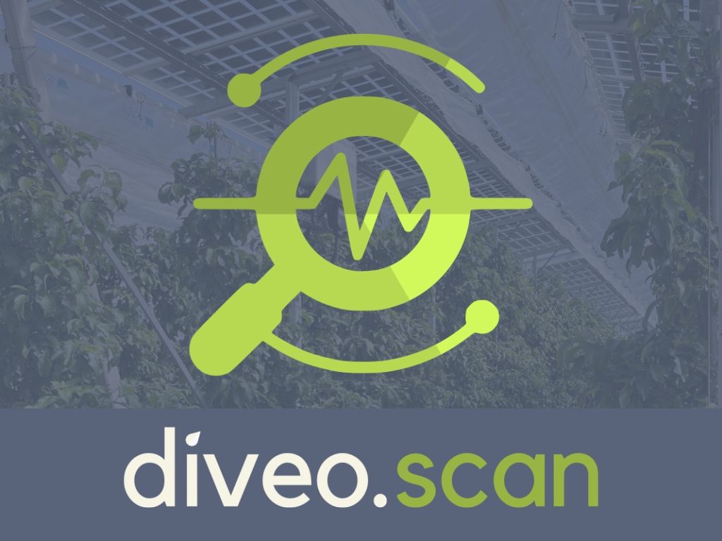 diveo.scan Logo
